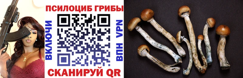 Галлюциногенные грибы мухоморы  Купить закладки  Сураж 